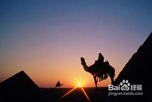 肯尼亞自助游注意事項(xiàng)