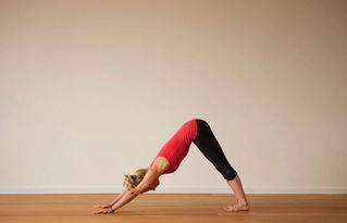 半下犬式注意事項(xiàng)