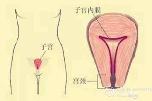 懷孕一個(gè)月藥物流產(chǎn)后注意事項(xiàng),懷孕5周藥物流產(chǎn)注意事項(xiàng),懷孕7周藥物流產(chǎn)需要注意事項(xiàng)