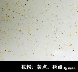 鐵粉,去除,注意事項