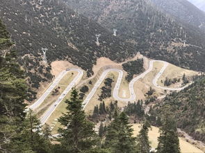 拉薩,新疆,自駕游,注意事項