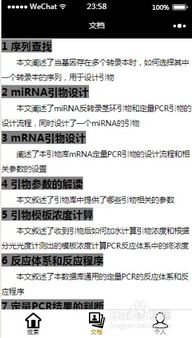 引物,注意事項,設計,pcr