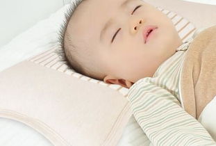 菊花枕頭注意事項(xiàng)