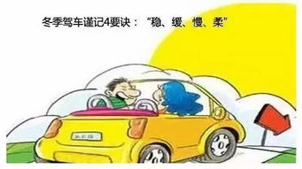 開車注意事項安全出行