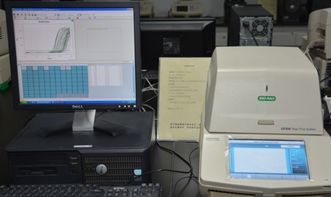 pcr引物設計注意事項