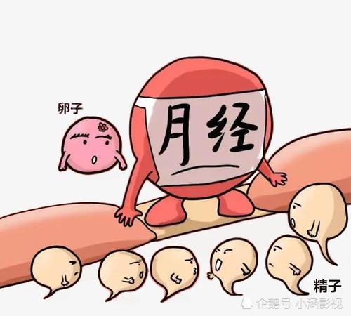 女生月經(jīng)期間注意事項(xiàng),狗狗月經(jīng)期間注意事項(xiàng),金毛月經(jīng)期間注意事項(xiàng)