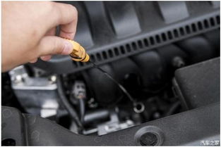 螺桿,機(jī)油,注意事項(xiàng)