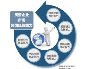 跨國公司,合資,注意事項(xiàng)