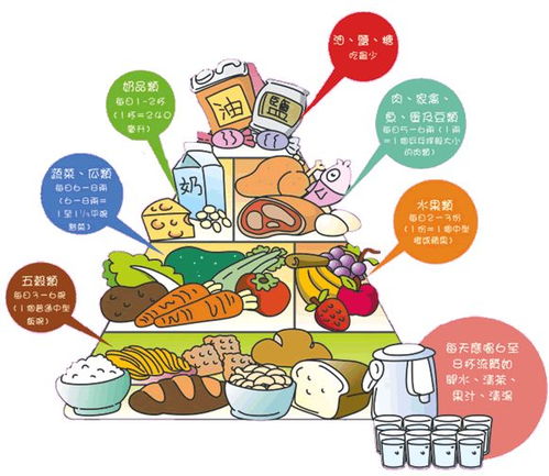 小學(xué)生,注意事項(xiàng),飲食