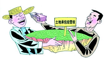 承包農(nóng)村土地合同注意事項(xiàng),承包農(nóng)民土地注意事項(xiàng),農(nóng)村土地互換注意事項(xiàng)