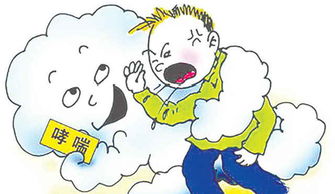 哮喘的預(yù)防和注意事項(xiàng)