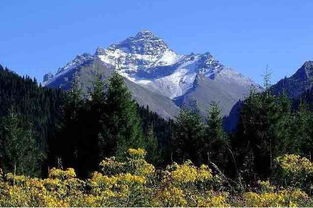 八月初到新疆旅游好嗎.注意事項有那些