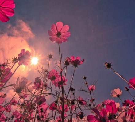 放手，給你愛(ài)的藍(lán)天