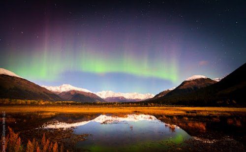 許鹿希：有一種愛情叫“國家機(jī)密”