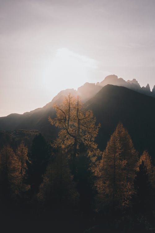 元旦賀詞祝福語大全