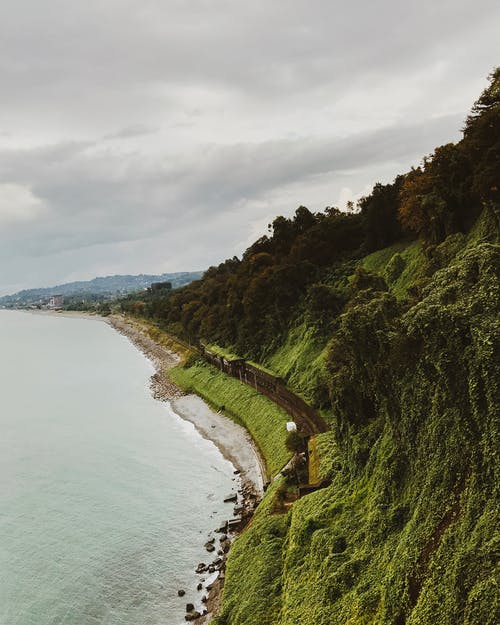 閱讀，我該拿你怎么辦？