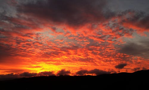 高中如何學(xué)好文言文