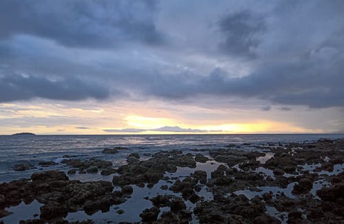 有關(guān)高中周記青春勵(lì)志7篇 有關(guān)高中周記青春勵(lì)志7篇