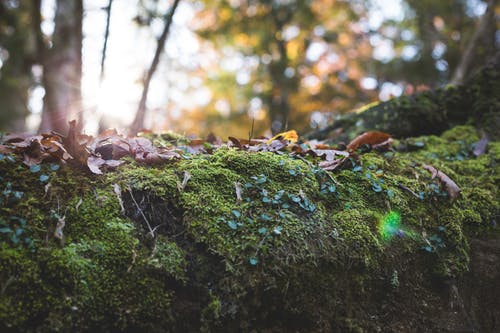 2020年表達大暑快樂的祝福語合集35句 2020年表達大暑快樂的祝福語合集35句