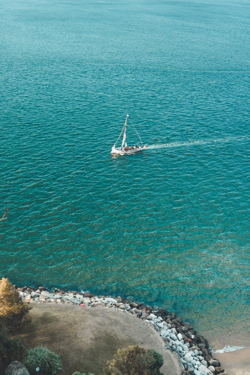 五年級(jí)英語(yǔ)作文My  Favourite  Flower