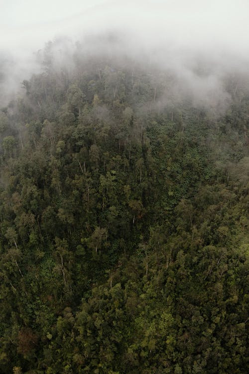 心情句子：沒有經(jīng)歷過的人，沒有對于他的意義