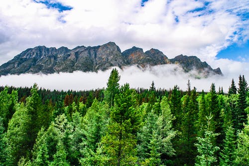 關(guān)于改寫古詩(shī)作文300字匯編六篇
