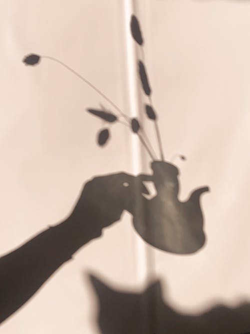 異獸世界小說無廣告林燃江雨溪目錄閱讀