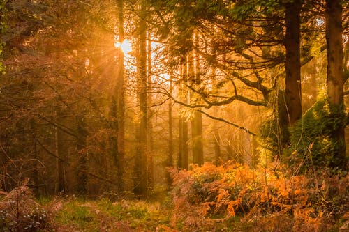 《花千骨》經(jīng)典臺