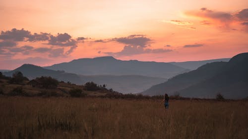 四個(gè)世界著名的教育法則勵(lì)志教育 四個(gè)世界著名的教育法則勵(lì)志教育