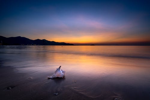 萬萬沒想到電影經(jīng)典臺詞 萬萬沒想到電影經(jīng)典臺詞