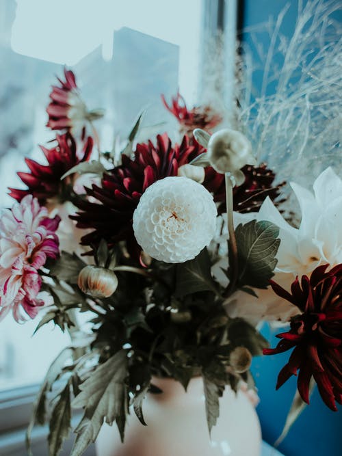 菲雅段毅笙完結(jié)小說(shuō)菲雅段毅笙無(wú)彈窗閱讀 菲雅段毅笙完結(jié)小說(shuō)菲雅段毅笙無(wú)彈窗閱讀