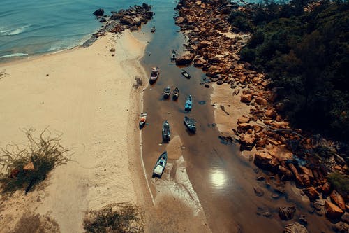 五年級(jí)敘事作文一張萬(wàn)能支票