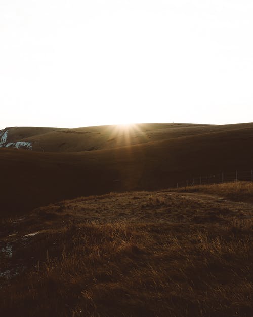 實用的一年級日記三篇 實用的一年級日記三篇