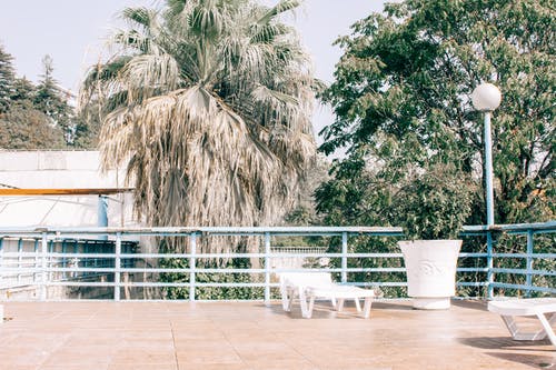 如若再見，請勿忘往生美文