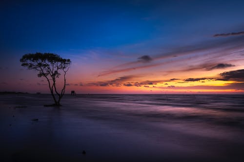 2020年溫馨除夕祝福語QQ合集23條