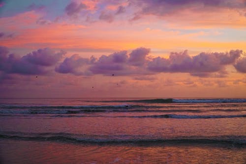 麻衣逆命小說(shuō)無(wú)彈窗李魚蔣聽(tīng)樓全文閱讀