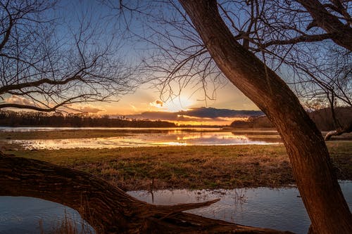2021年精選母親節(jié)給媽媽的祝福語(yǔ)24條