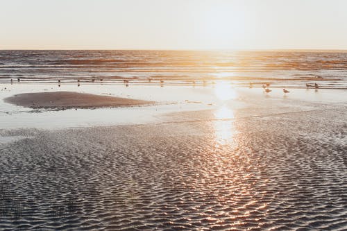 精選元旦給朋友祝福語 精選元旦給朋友祝福語