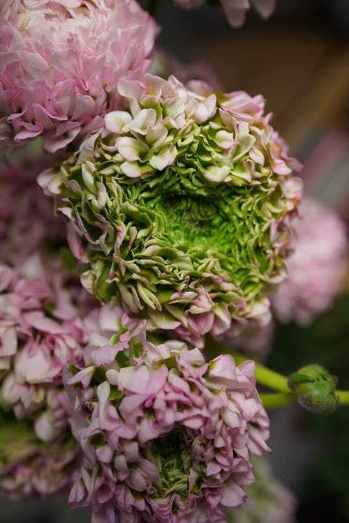 爽文葉凡何思凝小說(shuō)葉凡是帝師在線閱讀