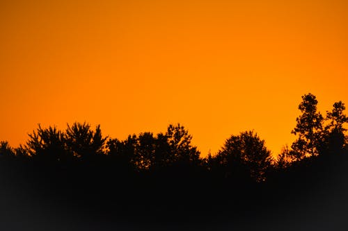 穿越我靠挨揍成了仙小說楚天明秦嵐月目錄閱讀