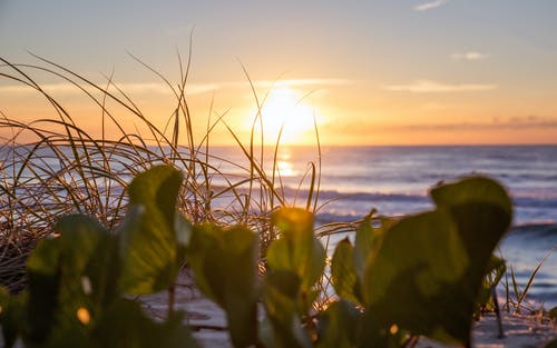 詞語(yǔ)錯(cuò)位例析 詞語(yǔ)錯(cuò)位例析