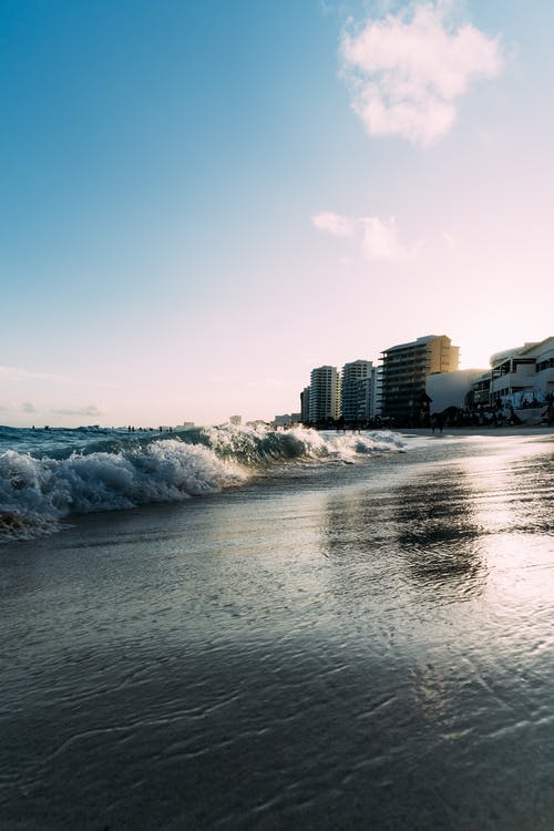 好文茅山天師小說林九周雨溪章節(jié)閱讀