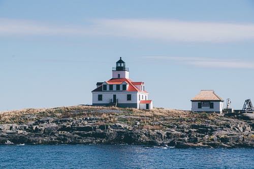 五年級(jí)想象作文假如我有一只尼爾斯的鵝