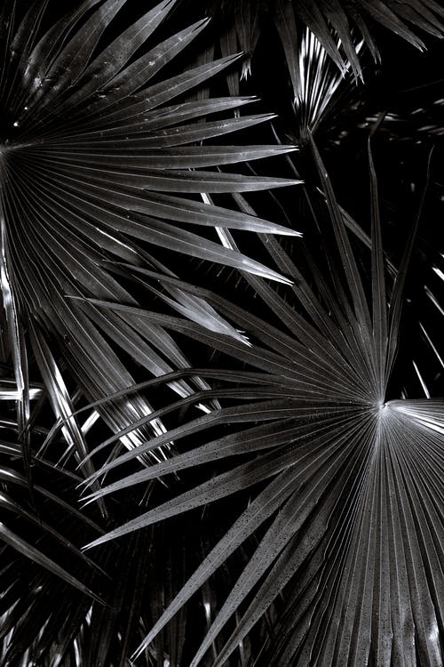 觀《烏龜也上網(wǎng)》有感——精誠所加，金石為開