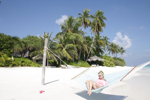 復(fù)仇重生之都市帝君小說(shuō)林飛姜柔無(wú)彈窗閱讀