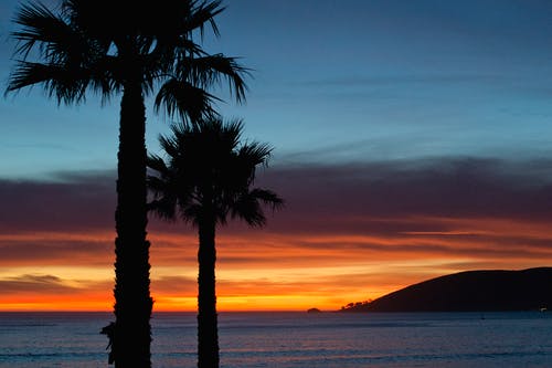 2020年溫馨春節(jié)祝福語微信錦集72條