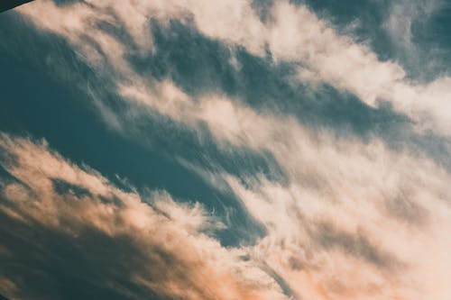 祝福長輩生日的祝福語