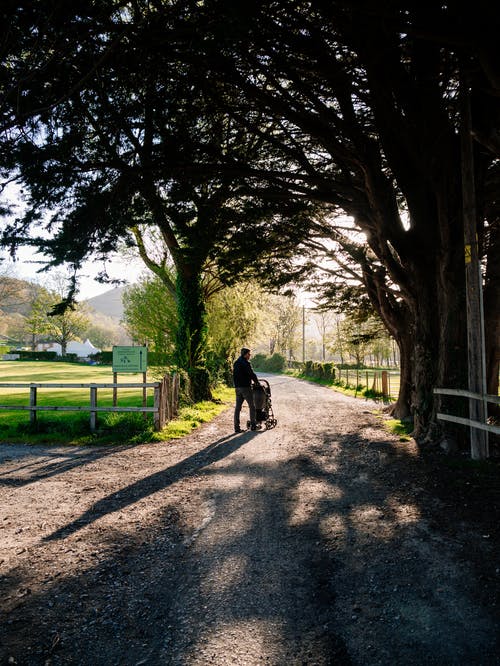 無聊齋讀后感精選