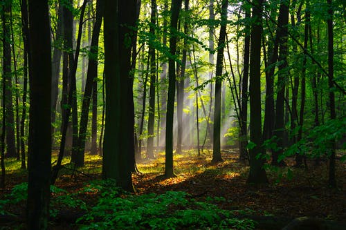 岳陽樓記的文言文翻譯