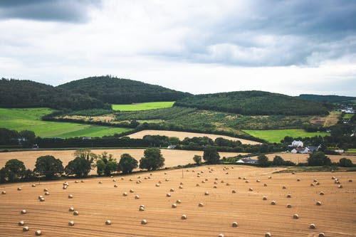 五年級寫人作文翻臉老師